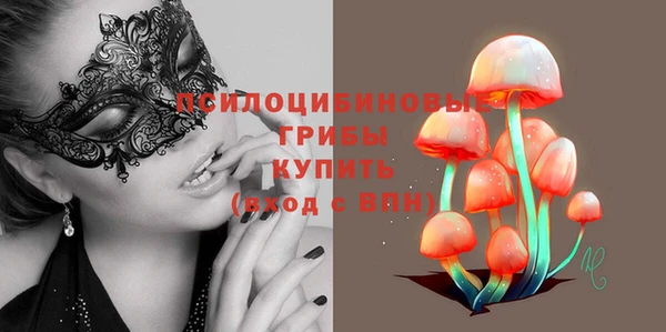 ешки Бородино