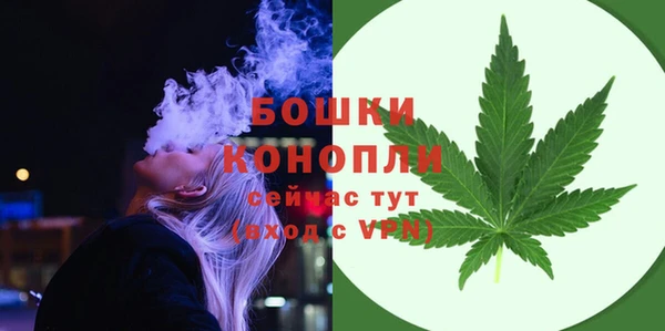 ГАЛЛЮЦИНОГЕННЫЕ ГРИБЫ Новозыбков