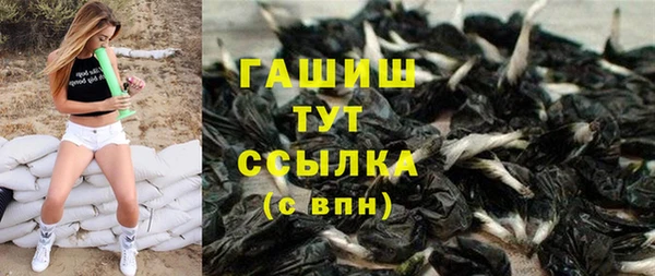 ешки Бородино