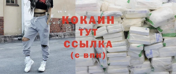 гидра Бронницы