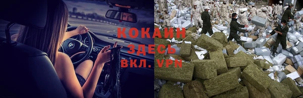 гидра Нея