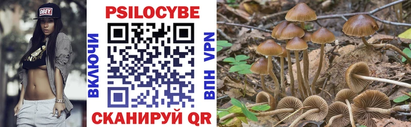 Галлюциногенные грибы Psilocybine cubensis  блэк спрут сайт  Барабинск 